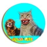 Aww Funniest Universe.jpg