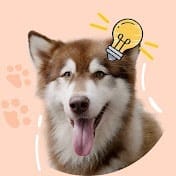 gddog.jpeg