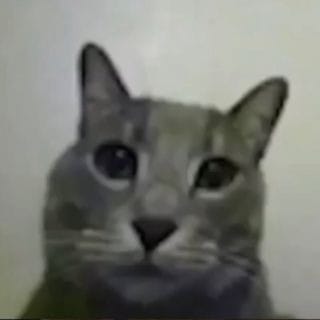 stinksmelly.jpg