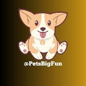 petsbig.jpg