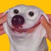 UNUSUAL MEMES.jpg
