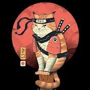 Ninja Cats.jpg