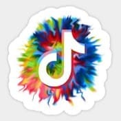 TikTok Video.jpeg