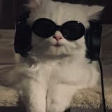 KittyCloudNine.jpg