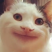 Tiky Tok.jpeg