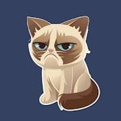 Pets Life.jpg