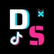 Dazzling Show.jpg