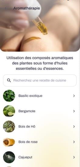 aroma natflow.jpeg
