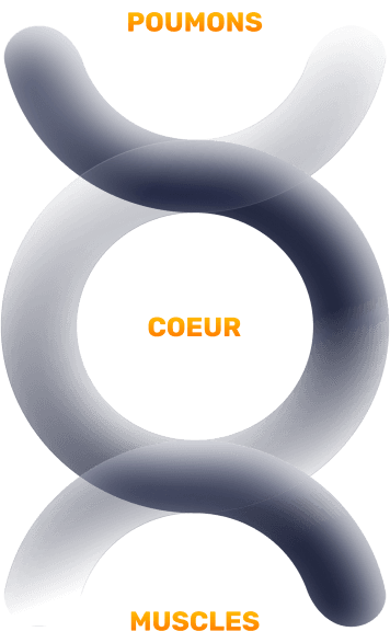 Group 427320871.png