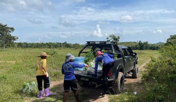 Krabi-thailand-planting-site.jpg