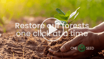 OneSeed regenerative reforestation.png