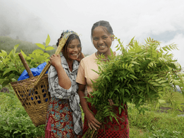Nepal People OneSeed Page (1).png
