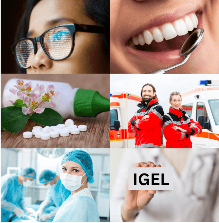 IGEL.png