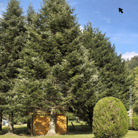 Carte de vœux carrée nouvel an géométrique colorée (3).gif