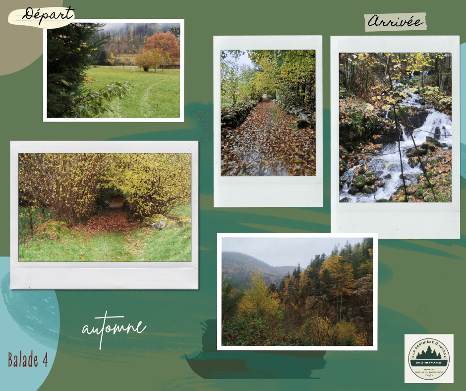 vert bleu beige scrapbook voyage nature souvenir pèle mèle Post Facebook (6).png