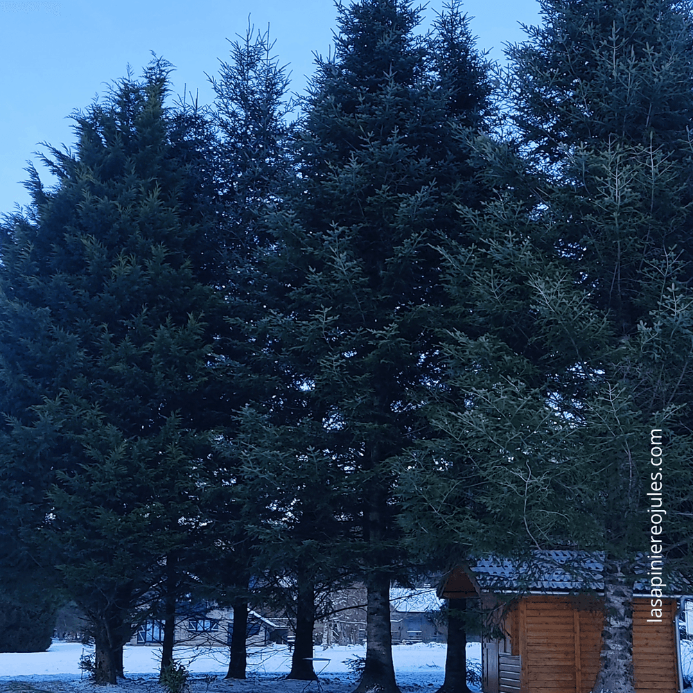 Carte de vœux carrée nouvel an géométrique colorée (7).png