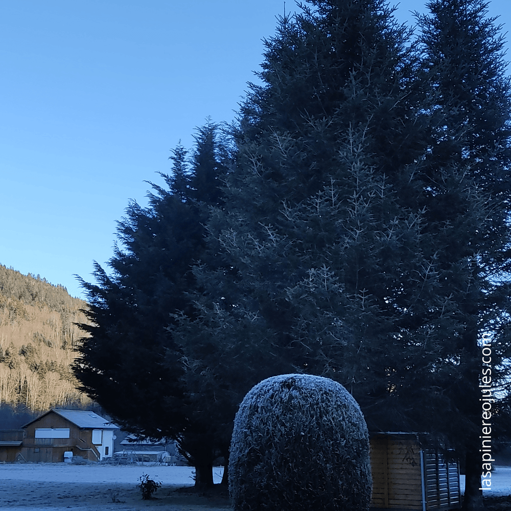 Carte de vœux carrée nouvel an géométrique colorée (42).png