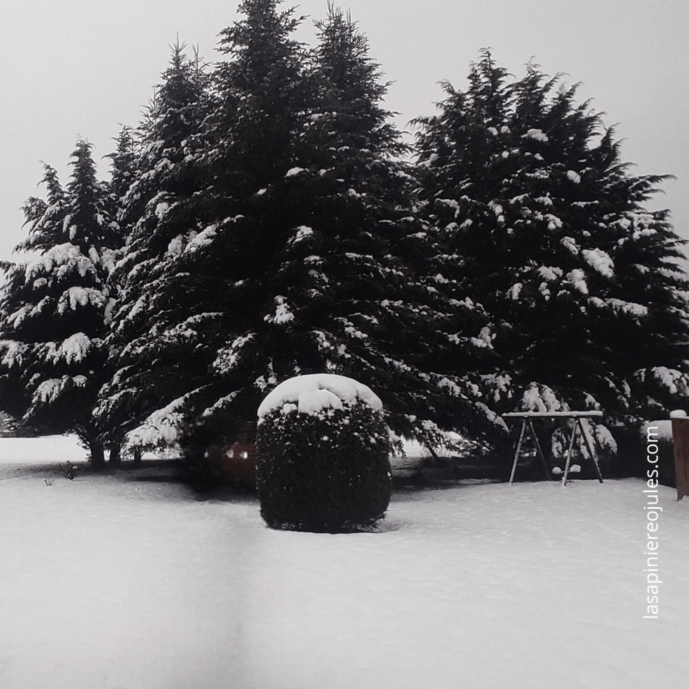 Carte de vœux carrée nouvel an géométrique colorée (6)-Photoroom.png