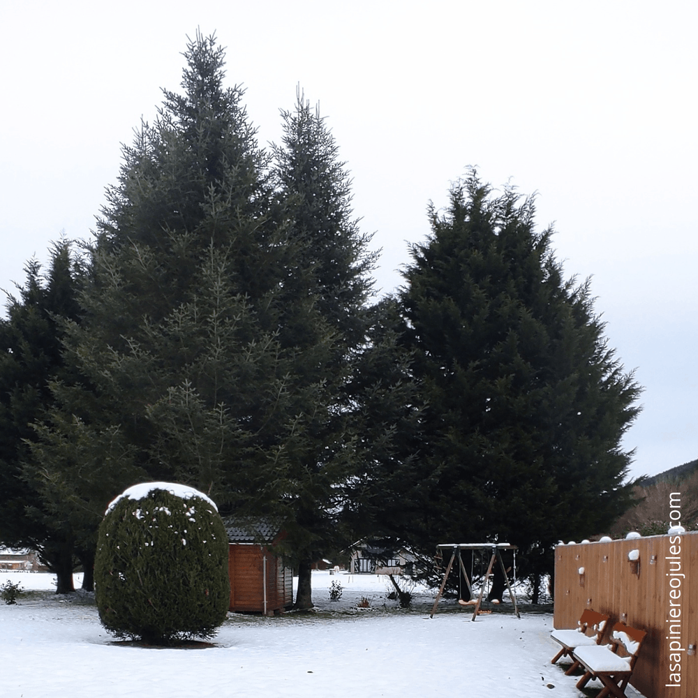 Carte de vœux carrée nouvel an géométrique colorée (33).png