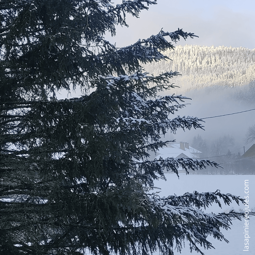 Carte de vœux carrée nouvel an géométrique colorée (37).png