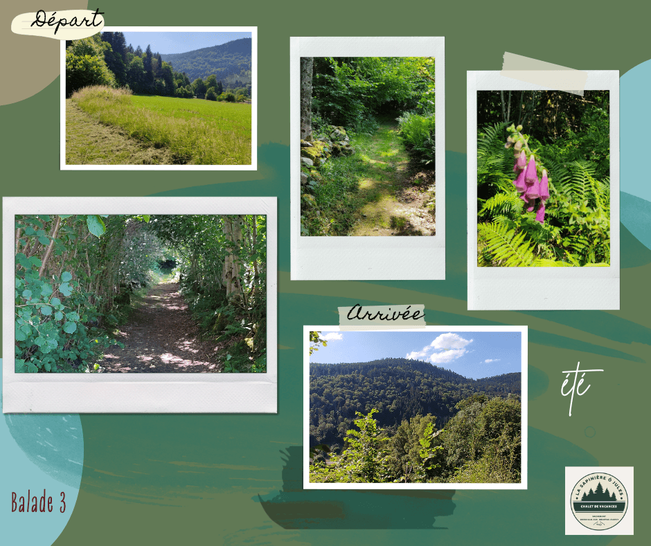 vert bleu beige scrapbook voyage nature souvenir pèle mèle Post Facebook (5).png