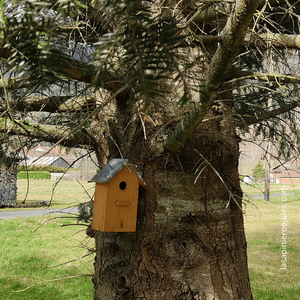 Carte de vœux carrée nouvel an géométrique colorée (12).png