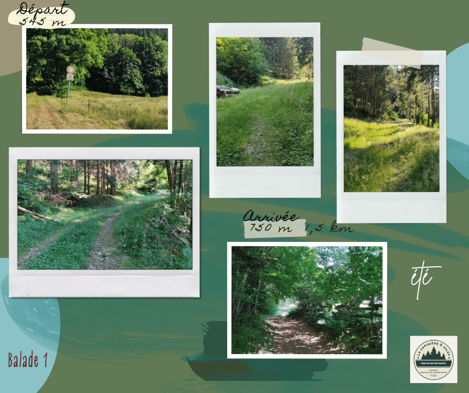 vert bleu beige scrapbook voyage nature souvenir pèle mèle Post Facebook.png