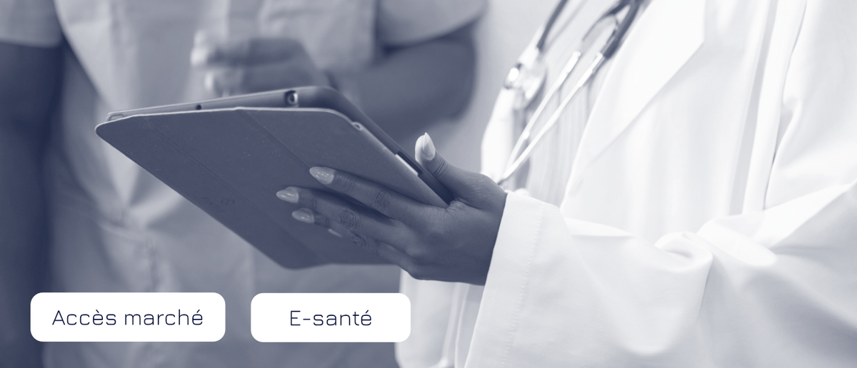 Template - Article - Banière Site web.png