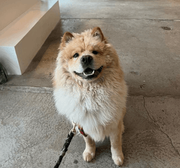 Screen Shot 2023-01-12 at 4.46.44 PM.png