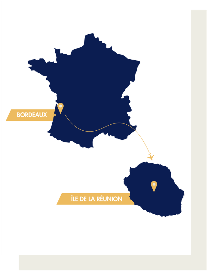 co-conseils-ile-de-la-reunion.png