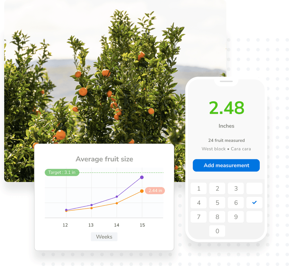 6239c49cb30509d005e20b8b_ENG-Farm-4-Yield@2x.png
