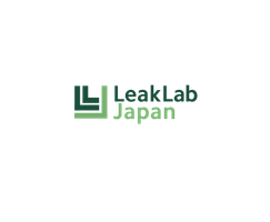 leak lab.png