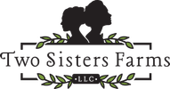 2SF_Logo_RGB.png