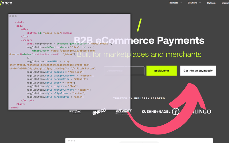 Storylane MASTER (1).png