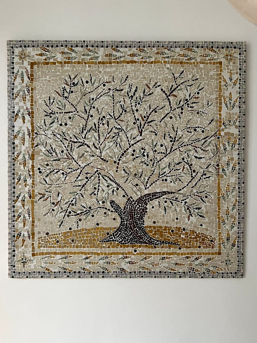 olive_tree_02.jpeg