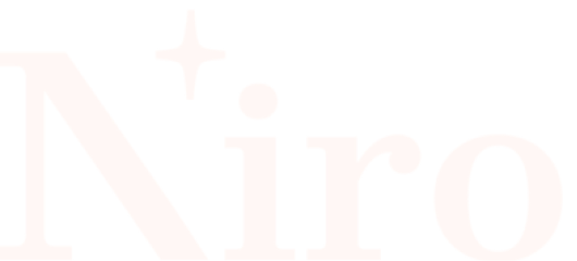 niro 2.png