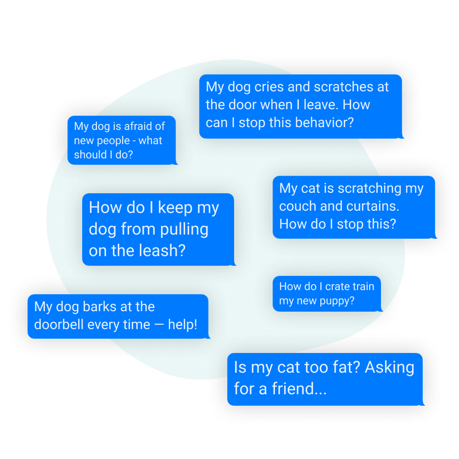 Illustration of message bubbles showing example questions pet parents ask inside of Petcademy.