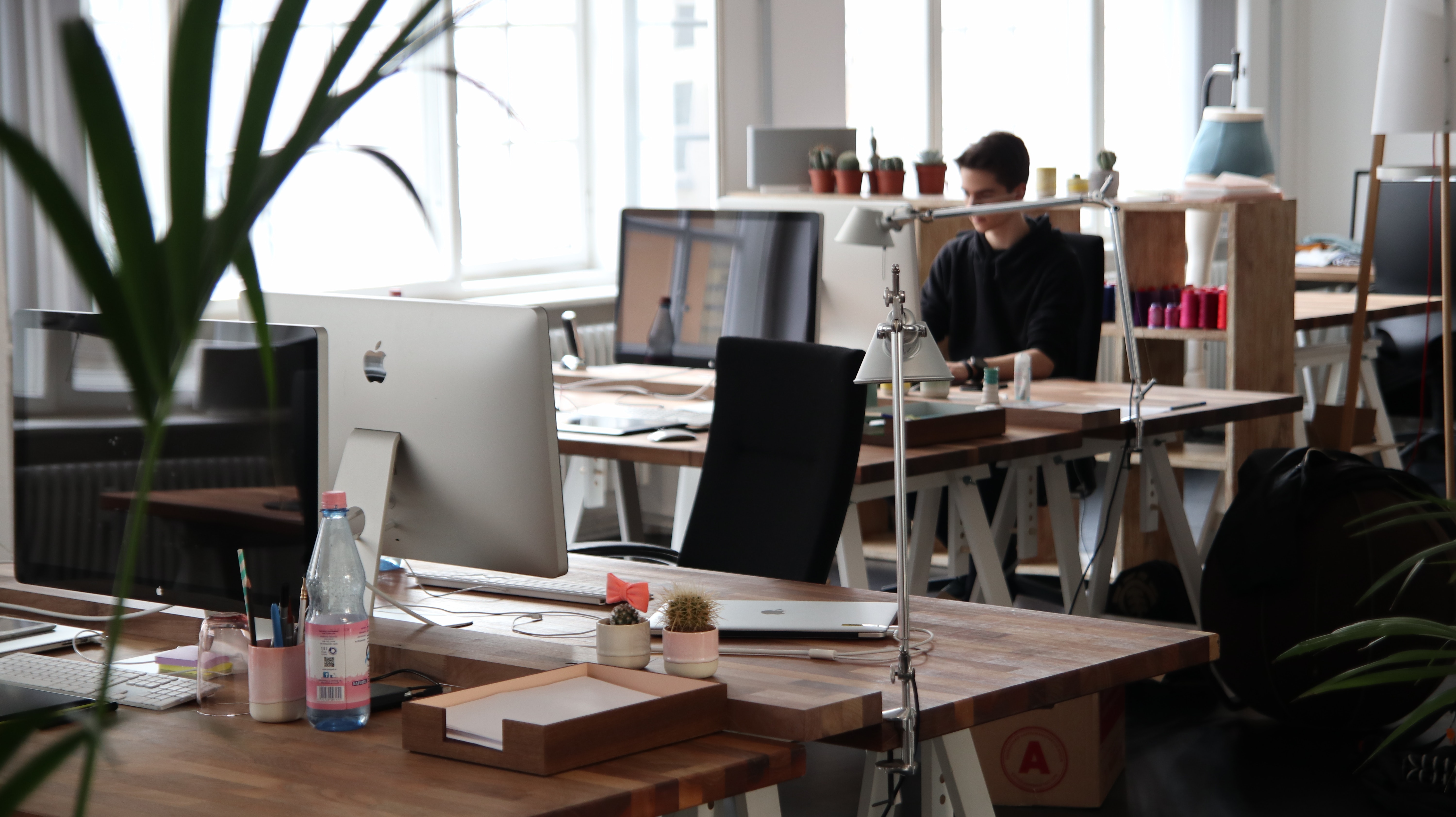 adult-agency-business-380769.jpg