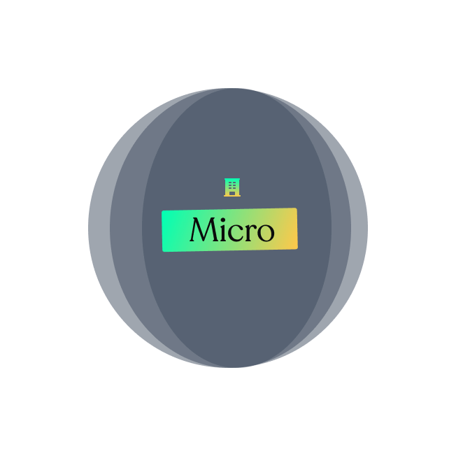 Micro.png