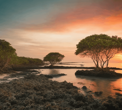 Capture d’écran 2024-10-23 à 20.13.38.png