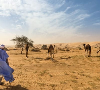 mauritanie.jpg