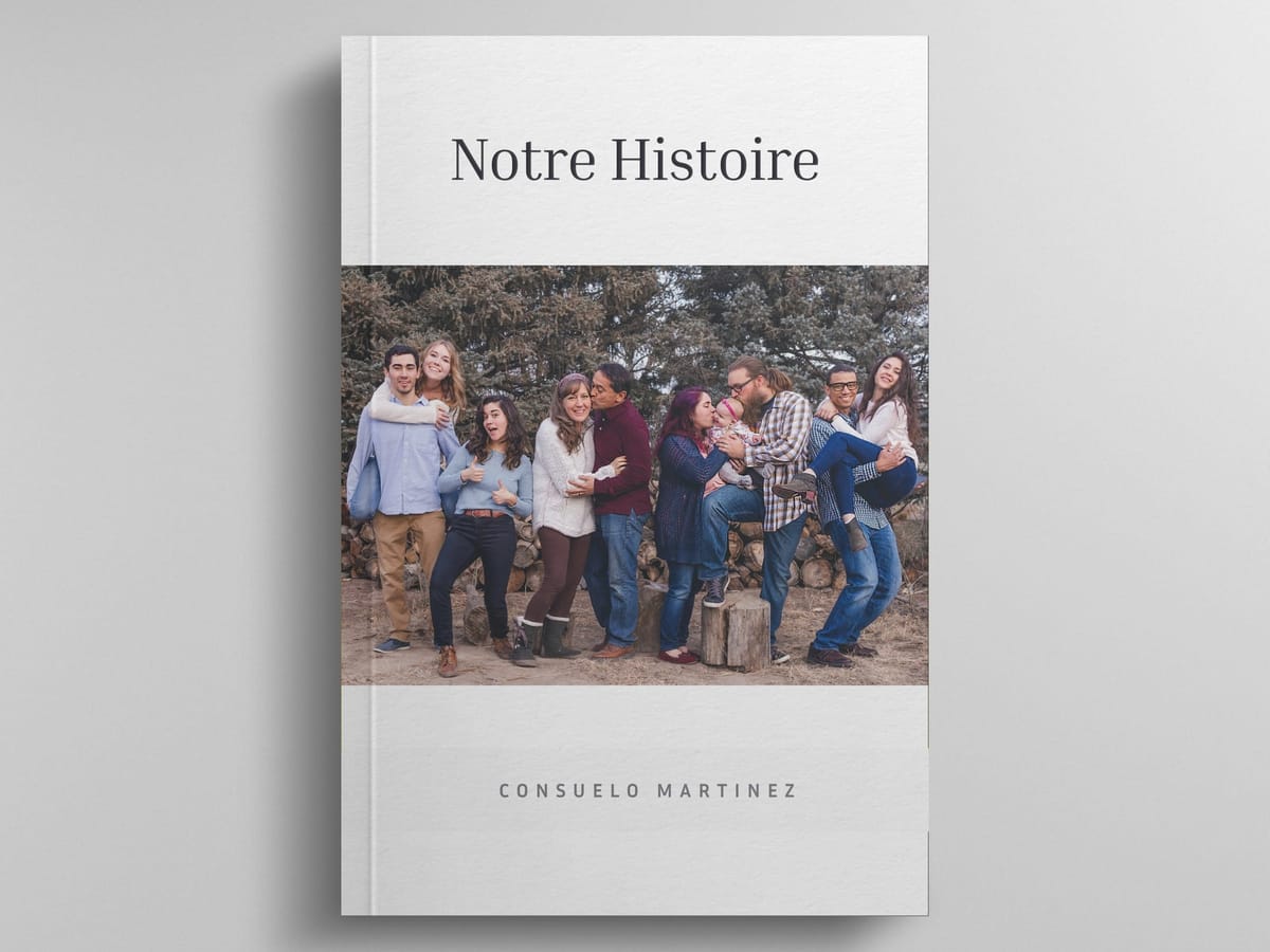 LS Book cover.jpg