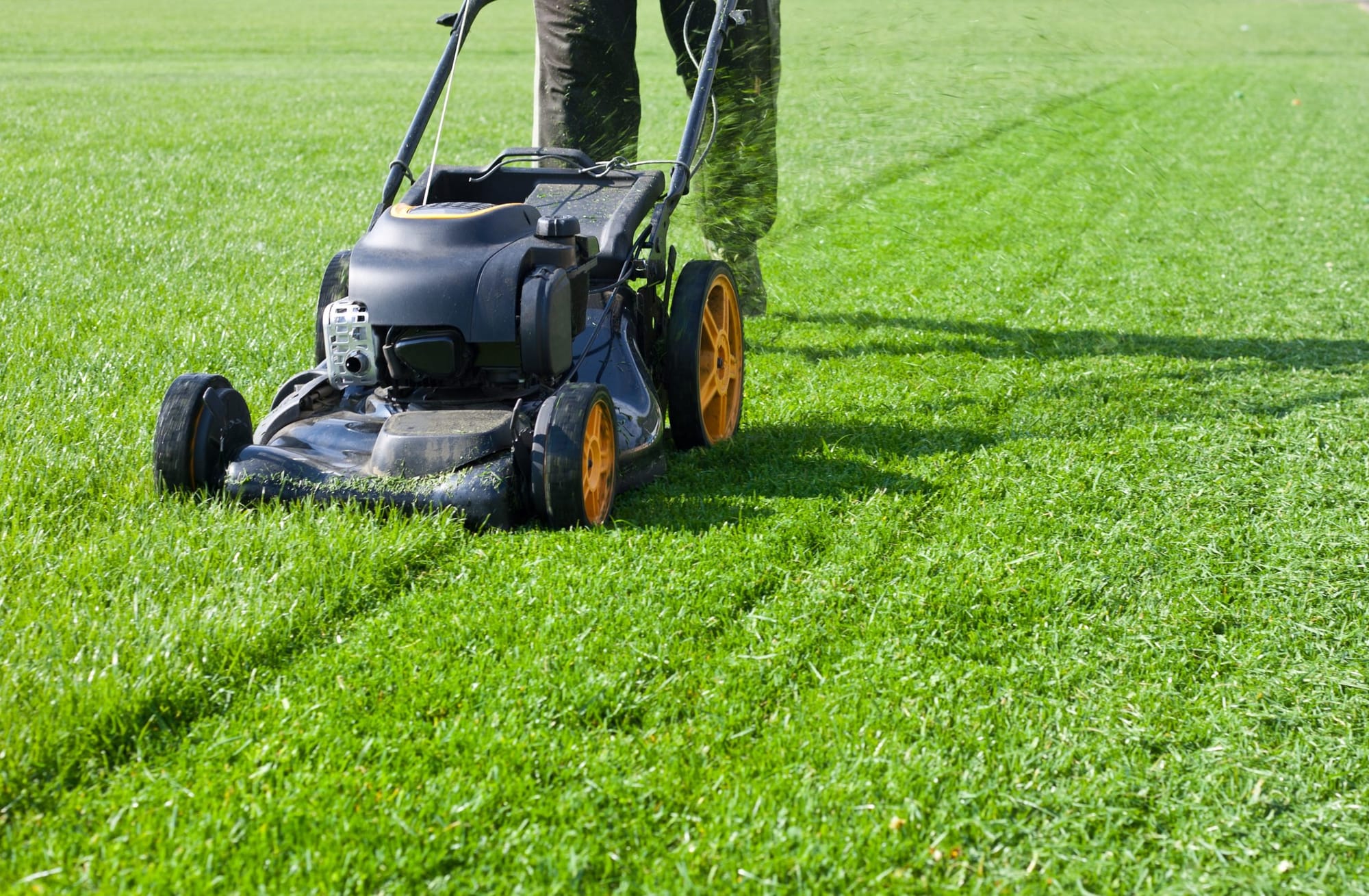 Mowing-scaled.jpg