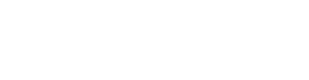 White logo - no background.png