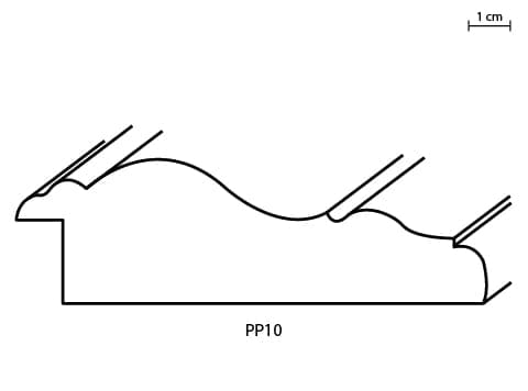 PP10.jpg