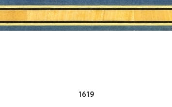 1619.jpg