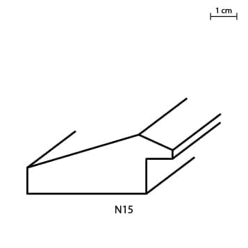 N15.jpg
