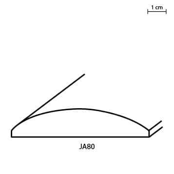 JA80.jpg