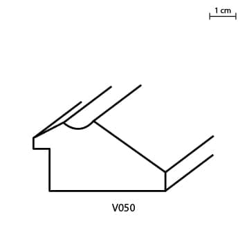 V050.jpg