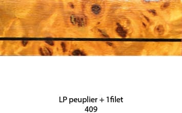 409.jpg